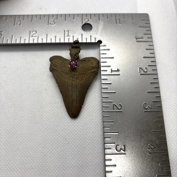 Vintage Bronze Coated Megalodon ? Tooth Pendant Genuine Tourmaline Accent Shark - Picture 8 of 9